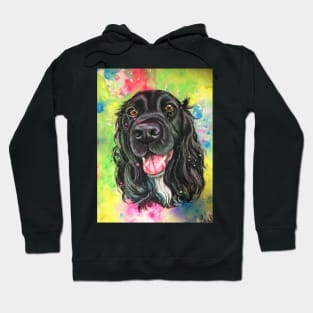 Black cocker spaniel , colourful watercolour background Hoodie